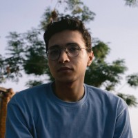 FFS Software Solutions Company LLC Employee Ali Maher's profile photo
