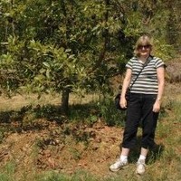 The New Zealand Institute for Plant & Food Research Ltd Employee Kerry Everett's profile photo