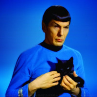Upstatement Employee Kim Miller's profile photo