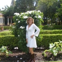 American VULKAN Corporation Employee Tina King's profile photo