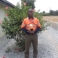 Asante Gold (CSE:ASE; GSE:ASG; FSE:1A9) #corpasantegold Employee Joseph Amankwah's profile photo