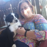 Norfolk Public Schools Employee Cheryl Devine-Smith's profile photo