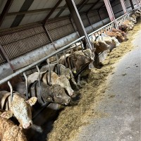 Jonathan Hall Email & Phone Number