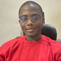 ARTISAN TECHNOLOGIES Employee Mubaraq Somuyiwa's profile photo