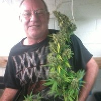 Walt Gray Email & Phone Number