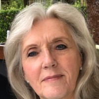 Git Boddaert's profile photo