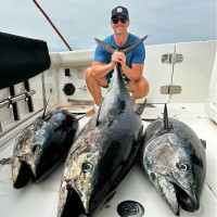 Kaz Halcovich Email & Phone Number