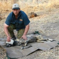 Painted Dog Conservation Inc. Employee John Lemon's profile photo