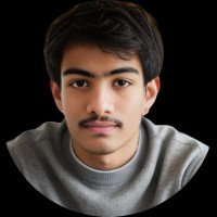 LogicUs Solutions Employee Mihir Chuahan's profile photo