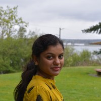 Brillio Employee Seema C's profile photo