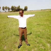 Postbank Kenya Employee Alex Mugada's profile photo