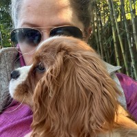 Crowell & Moring LLP Employee Sarah Stein's profile photo