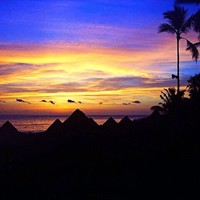 Youtube Employee Robert Herrin's profile photo