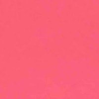 Hanami Employee Giorgia Pizzuto's profile photo