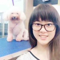 IPET Employee Ann's profile photo