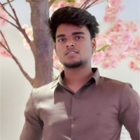 Tango IT Employee Basha S's profile photo