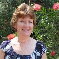 SASH - the Small Animal Specialist Hospital Employee Linda Vogelnest's profile photo