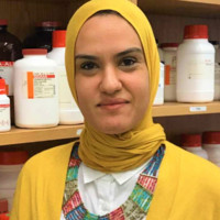 Yasmine Gomaa Email & Phone Number