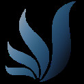 Saina Development Network Employee Sahar Eskandari's profile photo