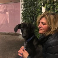 Allison Ross Email & Phone Number