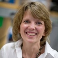 Harvard T.H. Chan School of Public Health Employee Sarah Fortune's profile photo