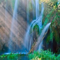 Vinopolis Employee Tito Cucchiaroni's profile photo