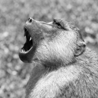 Calera Capital Employee Eric Evans's profile photo