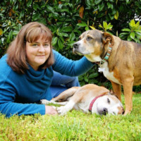 Humane Society of Clarksville-Montgomery Co. Employee Amy Shaver's profile photo