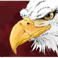 Creators Syndicate Employee Al Goodwyn's profile photo