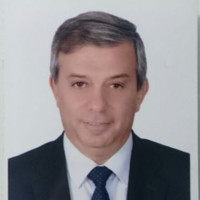Ayman Mashaly Email & Phone Number