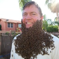 Beehive Removal