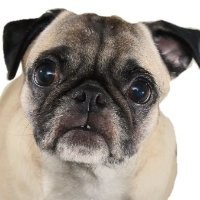 Normandy Studio Employee Tim McDonald's profile photo