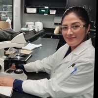Sistering Employee Maria Perez's profile photo