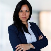 BDO Chile Employee Nelida Luque Neira's profile photo