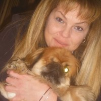 Providigm Employee Diane Chiofalo's profile photo