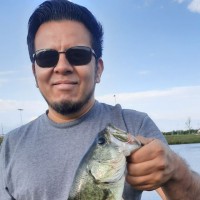 Hector Romero Email & Phone Number