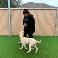 San Diego Humane Society Employee Amanda Kowalski's profile photo