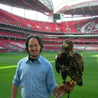 Angelo Spampinato Email