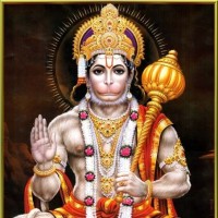 Kavi Yarasan's profile photo