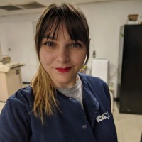 PingThings Employee Danielle Ferguson's profile photo