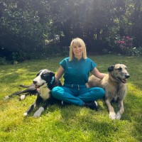 P3 Veterinary Partners Employee Louisa Henry's profile photo