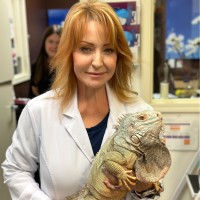 Little Critters Veterinary Hospital Employee Jill Patt's profile photo