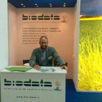 BIODATA Employee Alessio Frontini's profile photo