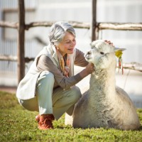 Sandra Jordan Prima Alpaca Employee Sandra Jordan's profile photo