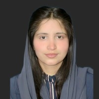 PTIS - Premier Tubular Inspection Services Employee Sadia Satti's profile photo