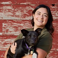 Scientia Data Employee Ellen Holbrook's profile photo