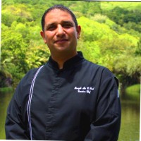 Hamzeh abu El-Foul Email