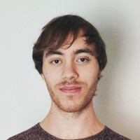 MOSAIC FACTOR Employee Nil Vidal's profile photo
