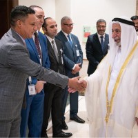 Ali Khalifa Email & Phone Number