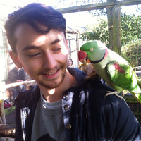 Shapefarm Employee Dec Troughton's profile photo